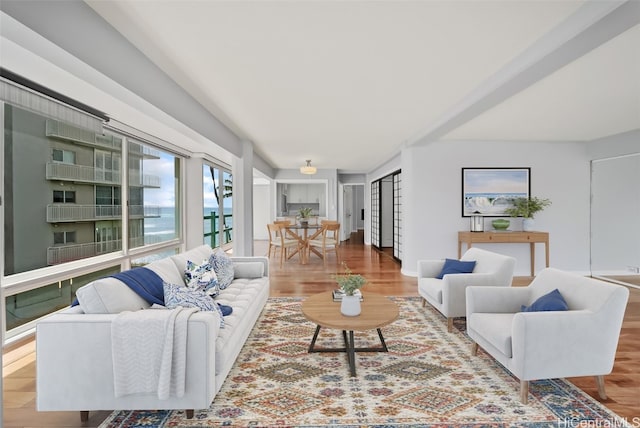 living room featuring hardwood / wood-style floors