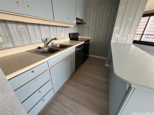 kitchen with stainless steel dishwasher, black range with electric stovetop, sink, and light hardwood / wood-style flooring