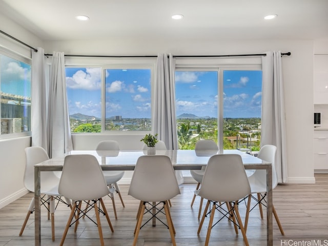 dining space featuring light hardwood / wood-style flooring