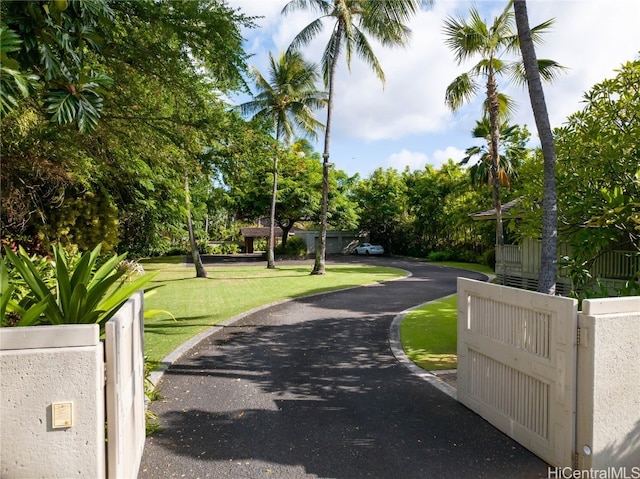 view of property's community featuring a yard