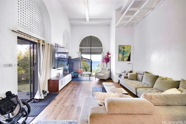 living room with hardwood / wood-style floors, beamed ceiling, and plenty of natural light