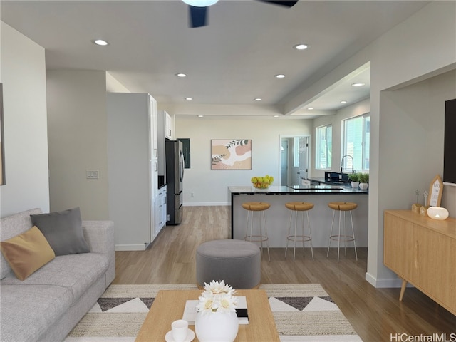 living room with light wood-type flooring