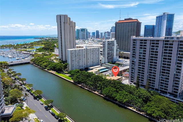 bird's eye view with a water view