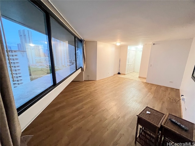 spare room featuring wood-type flooring