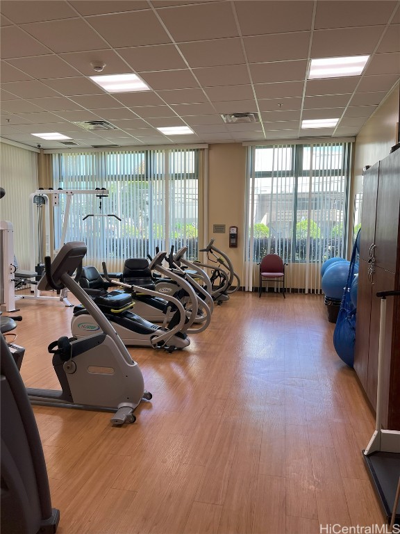 workout area featuring hardwood / wood-style floors, a drop ceiling, and expansive windows