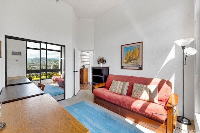 living room featuring high vaulted ceiling