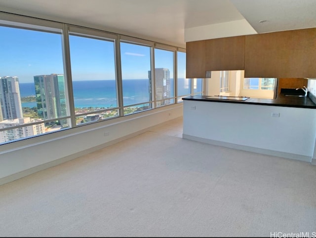 kitchen with a water view, light colored carpet, sink, and plenty of natural light