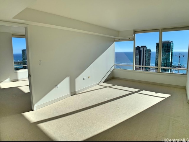 carpeted empty room featuring a water view and plenty of natural light