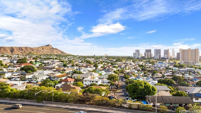 aerial view with a mountain view