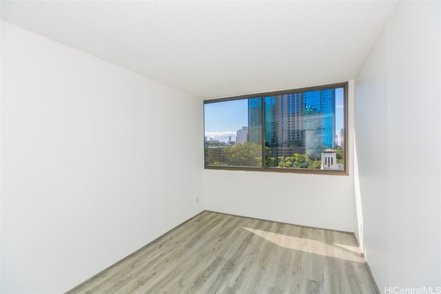 empty room with light hardwood / wood-style flooring, a textured ceiling, and floor to ceiling windows