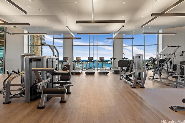 workout area featuring a water view, hardwood / wood-style flooring, and expansive windows