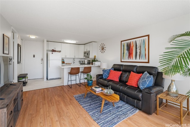 living room featuring light hardwood / wood-style flooring