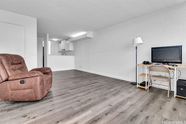 living area featuring wood-type flooring