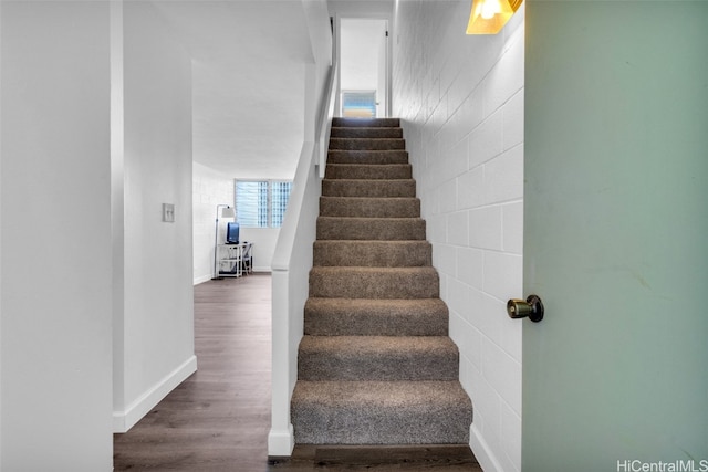 staircase with wood-type flooring