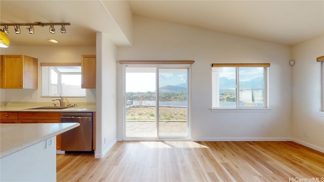 kitchen with light hardwood / wood-style floors, lofted ceiling, stainless steel dishwasher, and a wealth of natural light