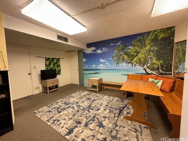 interior space with a textured ceiling and dark colored carpet