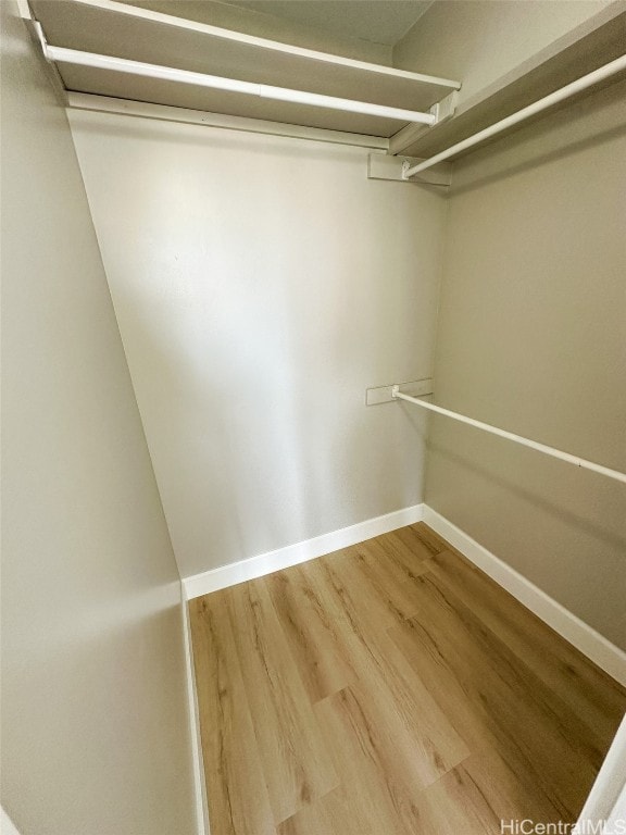 spacious closet with hardwood / wood-style flooring