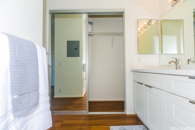 closet with sink and electric panel