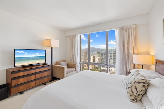 bedroom featuring carpet floors