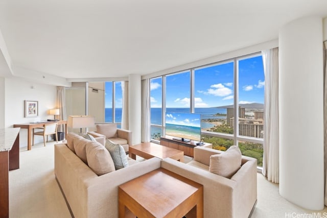 carpeted living room with a wealth of natural light and floor to ceiling windows