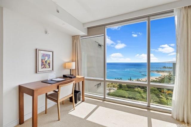 carpeted home office featuring a wealth of natural light, a water view, and a view of the beach