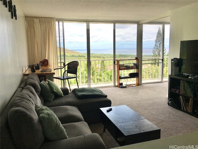 living room with light carpet and floor to ceiling windows