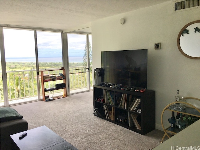 carpeted living room with a textured ceiling