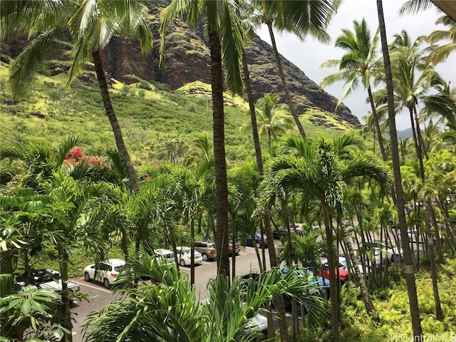 view of home's community with a mountain view