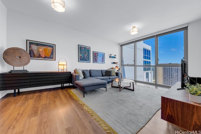 living room featuring expansive windows and light wood-type flooring