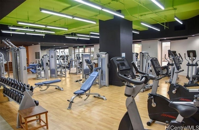 gym with hardwood / wood-style flooring