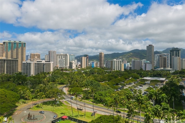 property's view of city featuring a mountain view