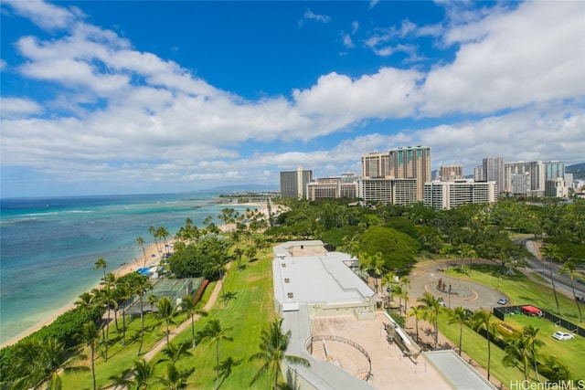 aerial view with a water view and a view of the beach