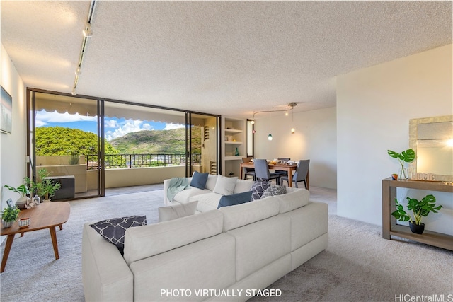 carpeted living room featuring a textured ceiling, track lighting, and floor to ceiling windows