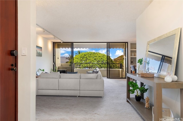 carpeted living room featuring track lighting and a textured ceiling