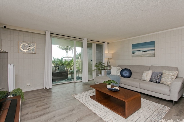 living room with hardwood / wood-style floors and a textured ceiling