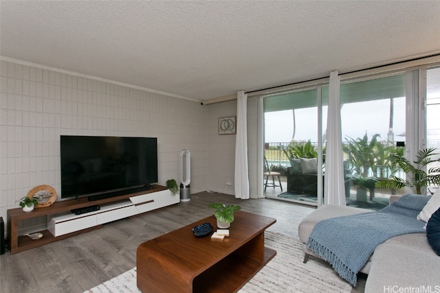 living room with a textured ceiling, hardwood / wood-style flooring, and a healthy amount of sunlight