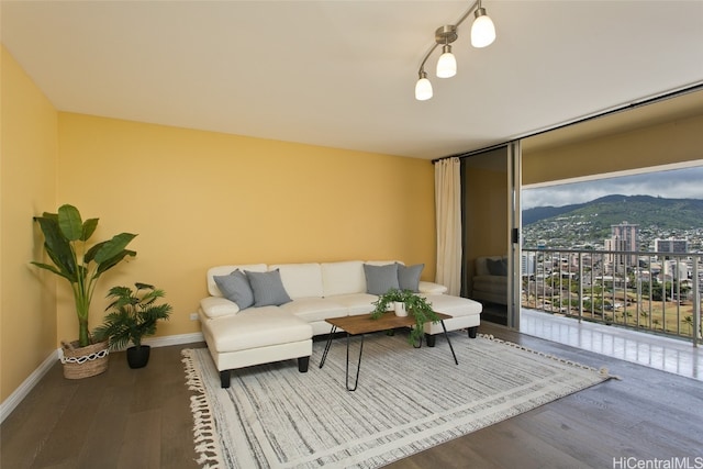 living room with a mountain view and hardwood / wood-style flooring