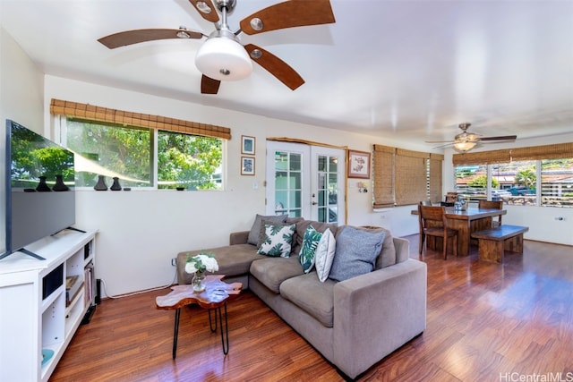 living room featuring dark wood-type flooring and french doors