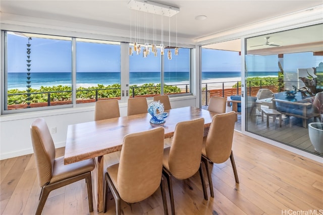 dining area with light hardwood / wood-style floors, a healthy amount of sunlight, and a water view