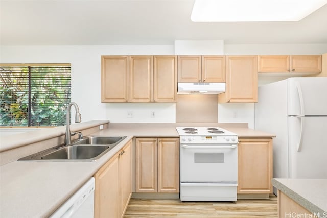 kitchen featuring sink, light brown cabinets, light hardwood / wood-style flooring, and white appliances