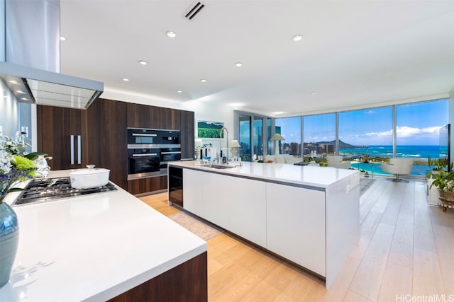 kitchen featuring sink, an island with sink, dark brown cabinetry, and island exhaust hood