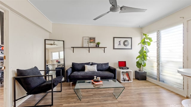 living room with light wood-type flooring and ceiling fan