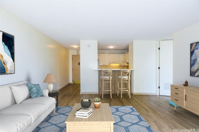 living room with hardwood / wood-style floors