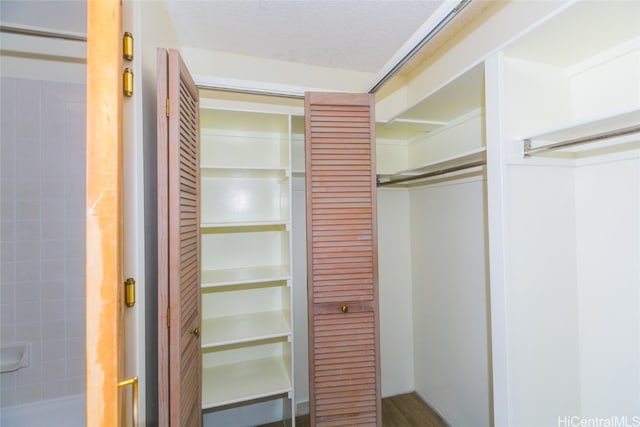 view of closet