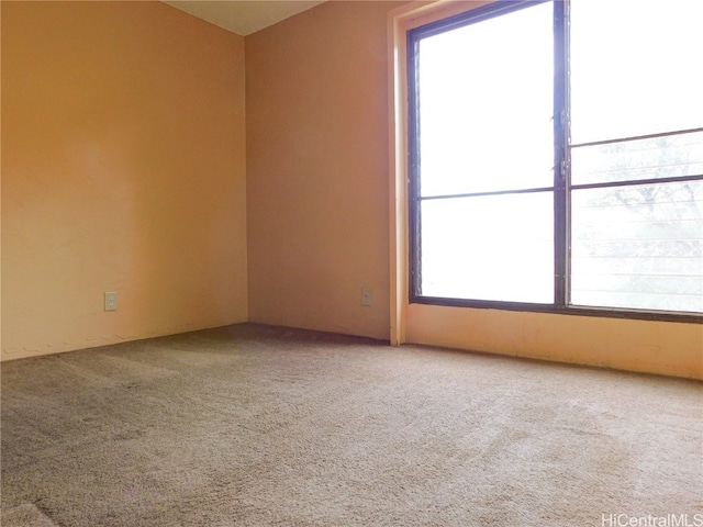 empty room featuring carpet