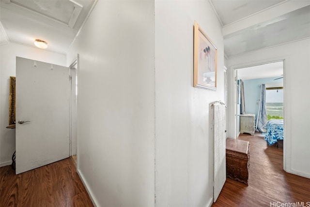 hall featuring crown molding and wood-type flooring