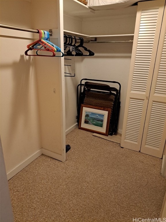 spacious closet with light colored carpet