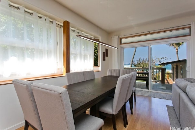 dining room with wood-type flooring