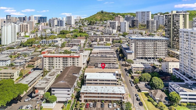 1145 Davenport St Unit 206, Honolulu, HI 96822 - aerial view of city skyline