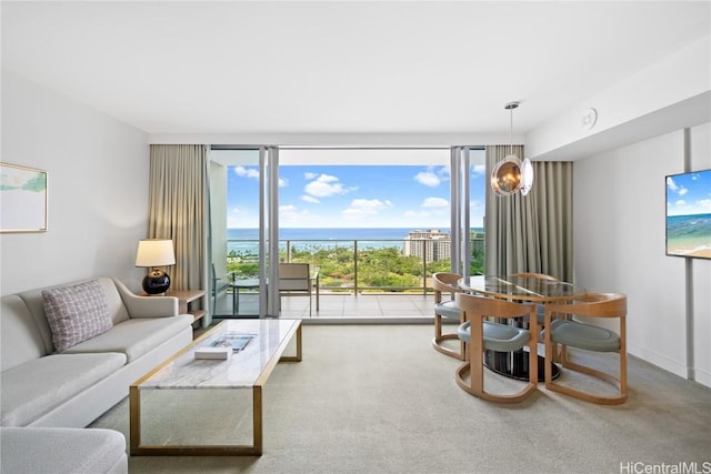 living room with carpet flooring, a healthy amount of sunlight, and a wall of windows